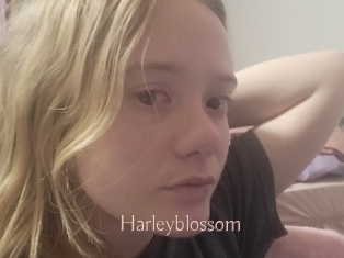 Harleyblossom