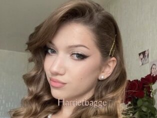 Harrietbagge