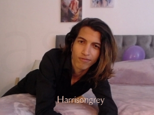 Harrisongrey