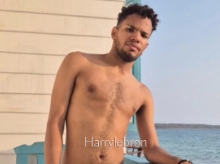 Harrylebron