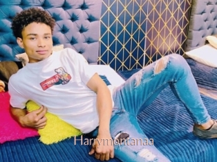 Harrymontanaa