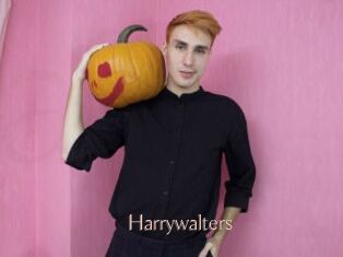 Harrywalters