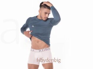 Haydenbig