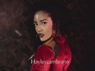 Hayleyzambrano