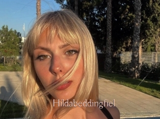 Hildabeddingfiel