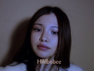 Hildbisbee