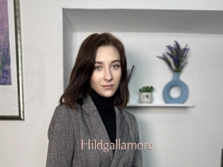 Hildgallamore