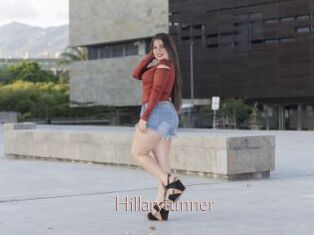Hillarytunner