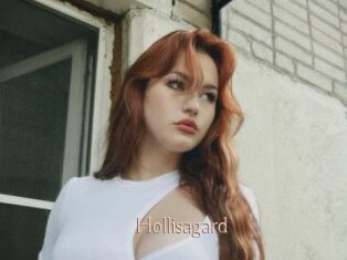 Hollisagard