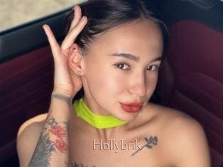 Hollybrik
