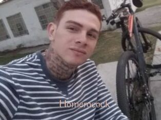Homerocock
