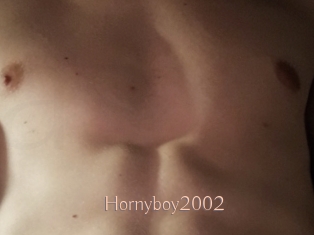 Hornyboy2002