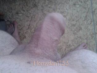 Hornydan1733