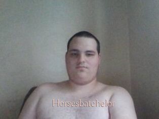 Horsesbatchelor