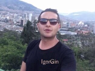 IgorGin