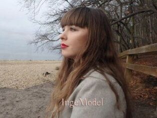 IngeModel