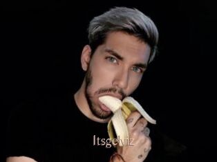 Itsgelviz