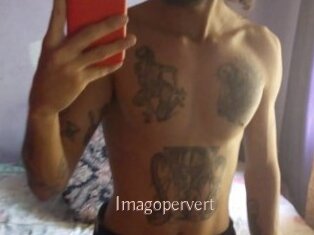Imagopervert