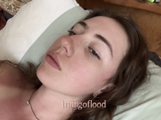 Indigoflood