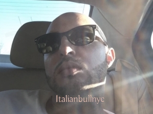 Italianbullnyc
