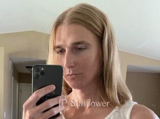 JP_Sunflower
