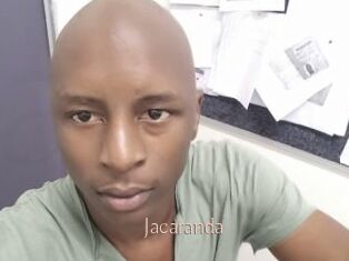 Jacaranda
