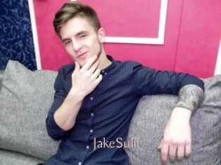 JakeSulii