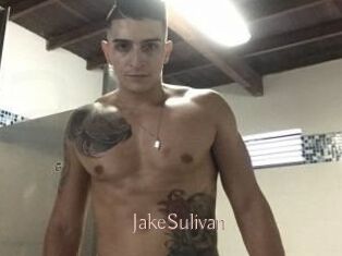 Jake_Sulivan