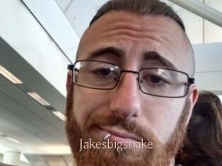 Jakesbigsnake