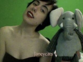 Janeycats