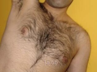 Jay66