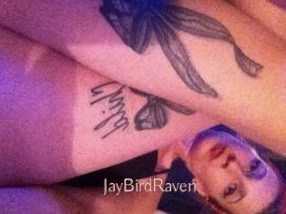 JayBirdRaven Anal Sexe