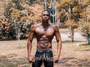 JoshMegans