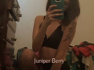 Juniper_Berry