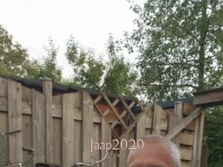 Jaap2020