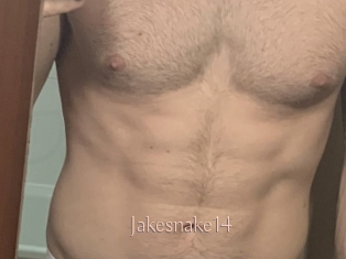 Jakesnake14