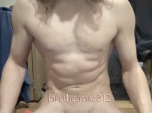 Jakethesnake312