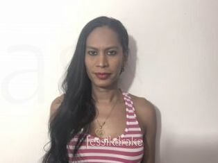 Jessikdrake