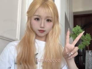 Junkocece