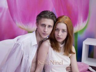 KaletNinel