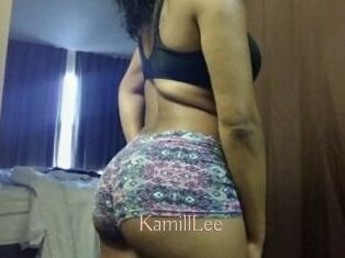 KamillLee