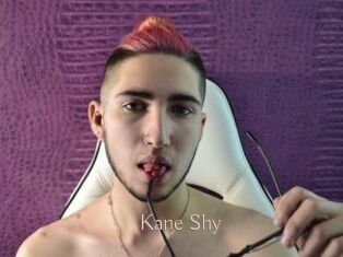Kane_Shy Anal Sexe