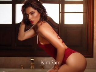 KimSam Anal Sexe