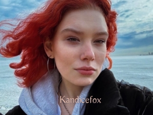 Kandicefox