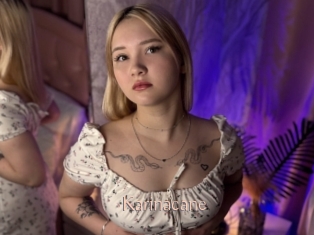 Karinacane
