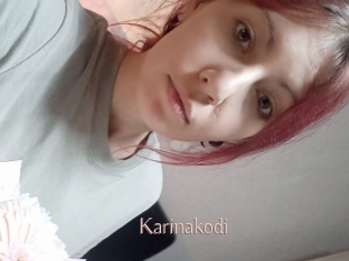 Karinakodi