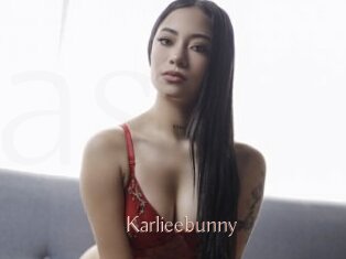 Karlieebunny
