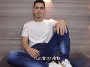 Kevingaviria
