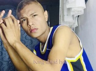 King_david_hot