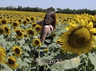 Kitti2023